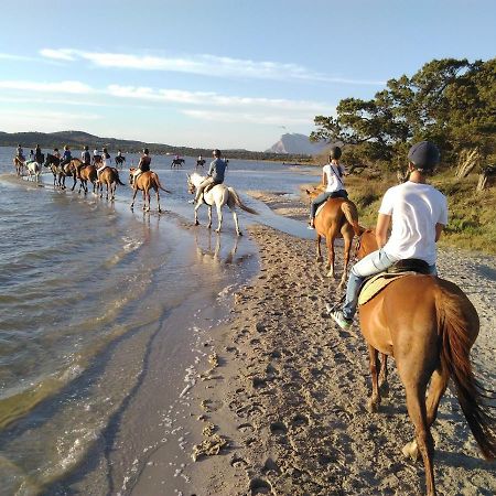 Appartamento Sette Posti Vicino Al Centro Di San Teodoro San Teodoro  Esterno foto