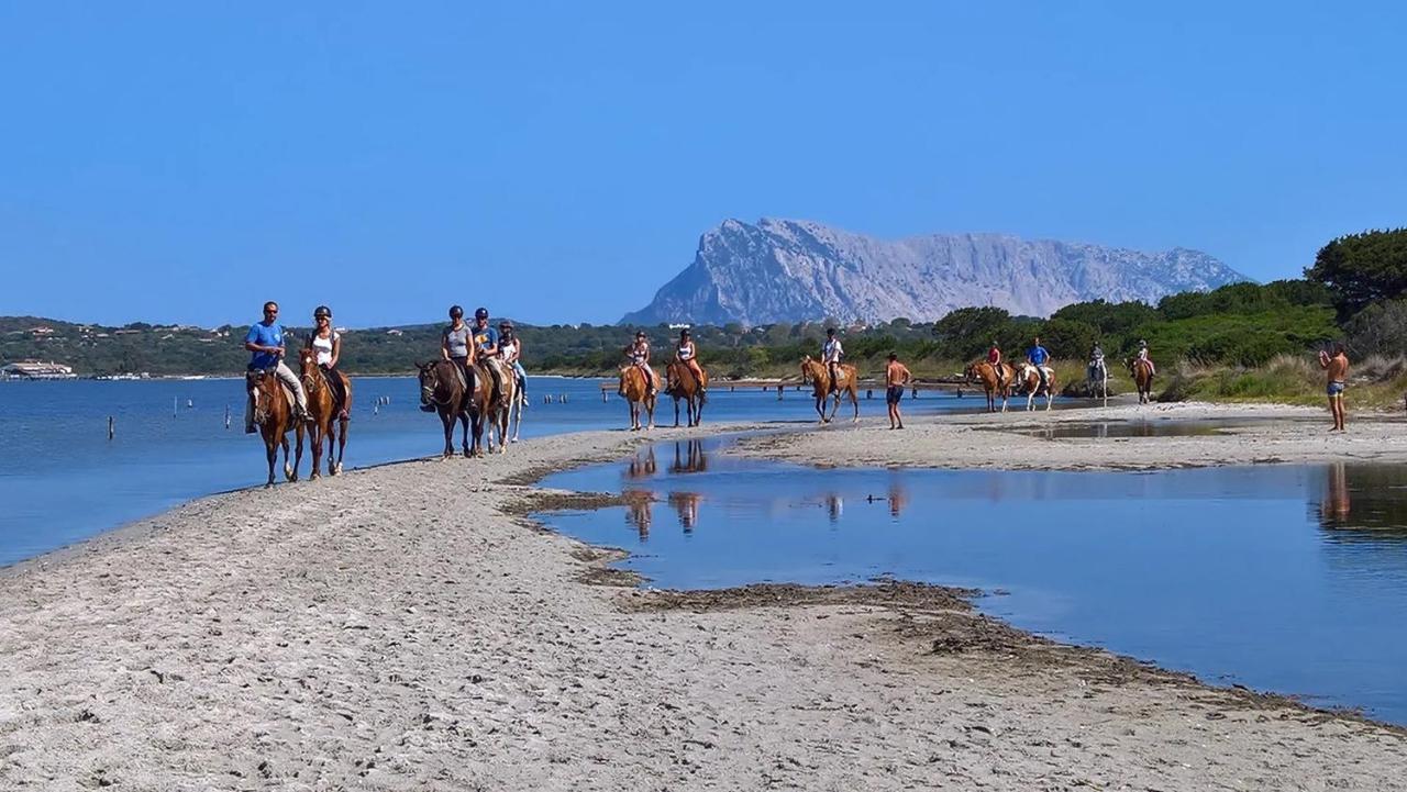 Appartamento Sette Posti Vicino Al Centro Di San Teodoro San Teodoro  Esterno foto
