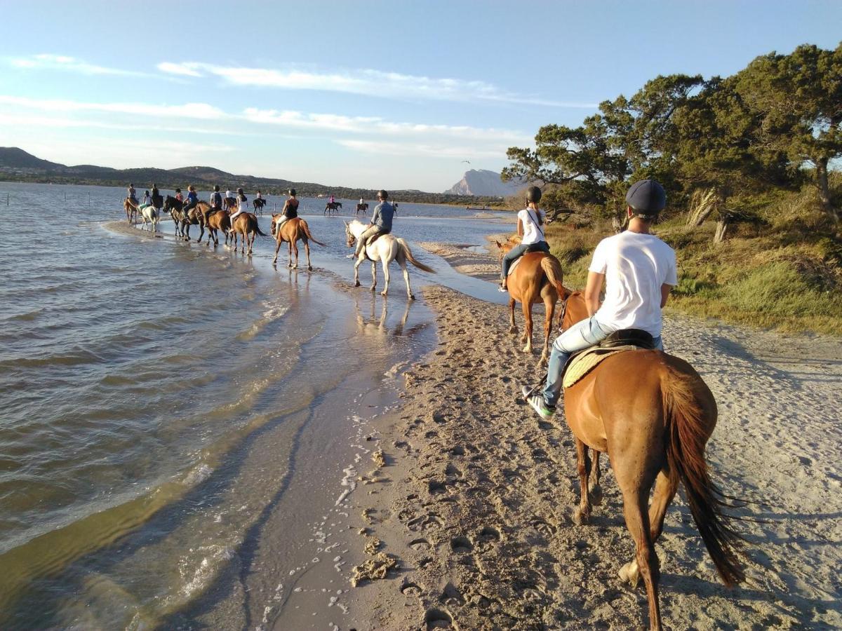Appartamento Sette Posti Vicino Al Centro Di San Teodoro San Teodoro  Esterno foto